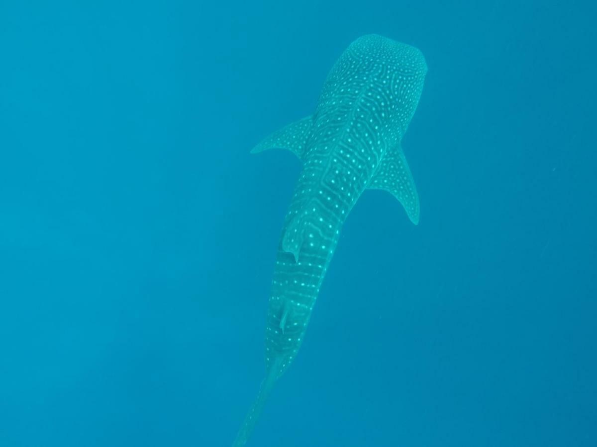 Отель Vakarufalhi Maldives Атолл Алифу Даалу Экстерьер фото